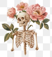 PNG Skeleton with aesthetic flowers vintage style illustration.