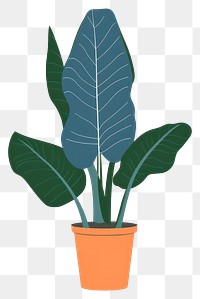 PNG Banana houseplant illustration leaves simple.