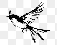 PNG Bird drawing black white.