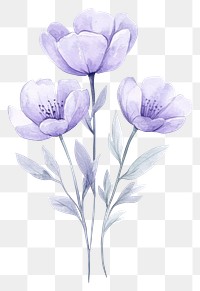 PNG Aesthetic spring flower flowers art illustration.