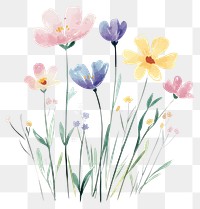 PNG Aesthetic spring flower flowers art illustration.