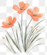 PNG Aesthetic spring flower flowers art illustration.