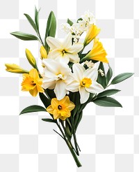 PNG Lilies and daffodils bouquet flowers yellow.