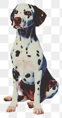 PNG Photography glitter dalmatian dog background pet spotted.