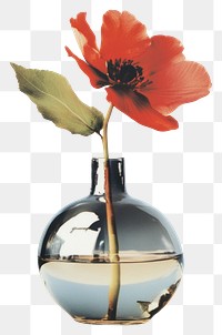 PNG Aesthetic photography glitter flower vase arrangement minimalist artistic.