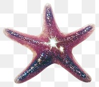 PNG Photography glitter starfish invertebrate sparkling glittery.