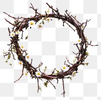 PNG Crown of thorns daisies wreath branch.