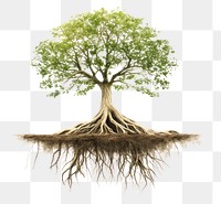 PNG Floating tree with roots environmental illustration chandelier.