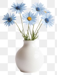 PNG Blue daisies daisy vase flower.