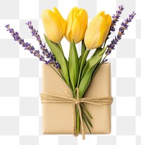 PNG Lavender sprigs and yellow tulips flowers spring gift.