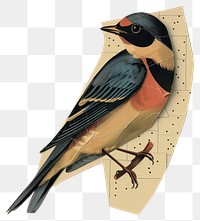 PNG Bird retro paper collage background nature-inspired illustration.