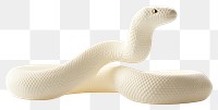 PNG Snake texture white representation.