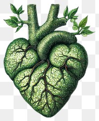 PNG Pointillism heart green illustration eco-friendly.