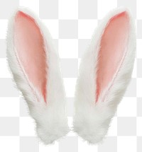 PNG White rabbit ears animal bunny pink.