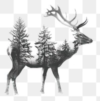 PNG Animal double exposure deer with trees wildlife antlers illustration.