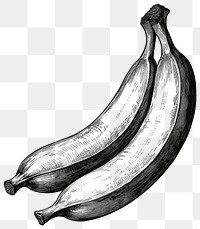 PNG Banana fruit black white.