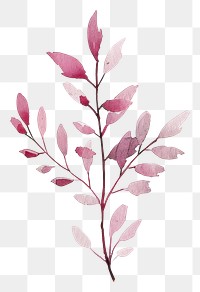 PNG Tiny pink leaves leaf watercolor paper.