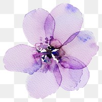 PNG Tiny purple flower watercolor petal illustration.