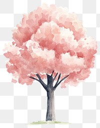 PNG Cherry Blossom Trees tree art illustration.