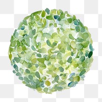 PNG Tree illustration watercolor sphere.