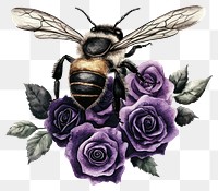 PNG Illustration of bee roses purple art.