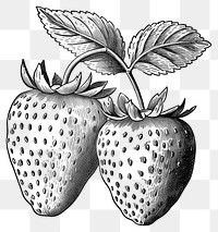 PNG Strawberries strawberry illustration drawing.