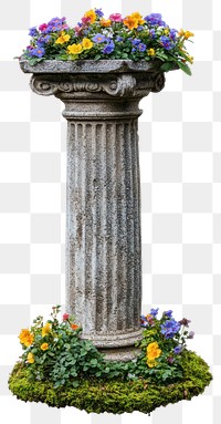 PNG Flowers colorful pillar column.