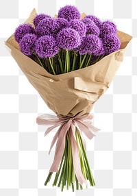 PNG Flowers bouquet purple allium.