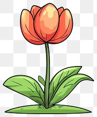 PNG Playful and vibrant flat vector flower tulip illustration.