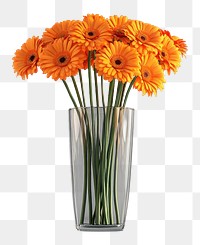 PNG Bright orange flowers bouquets daisies daisy glass.