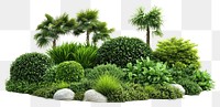 PNG Garden plants landscape outdoors.