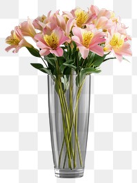 PNG Pink flowers bouquets glass vase arrangement.