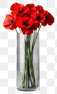 PNG Red flowers bouquets glass vase arrangement.