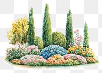 PNG Flowers garden illustration watercolor.