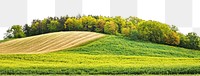 PNG Hilly spring fields landscape outdoors scenery.