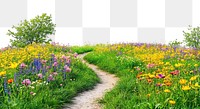 PNG Spring flower path landscape.