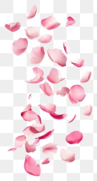 PNG Pink petals floating atmosphere delicate elegance.