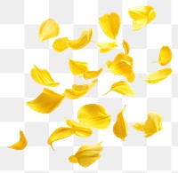 PNG Yellow petals floating flower white abstract.