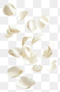 PNG White petals floating background white air.