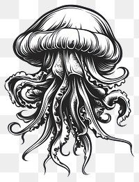 PNG Jelly fish art illustration jellyfish.