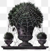 PNG Gothic wedding with topiary illustration vintage spider.