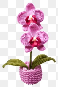 PNG Orchid knitted flower plant.