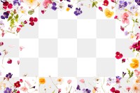 PNG Flowers confetti border background blossoms petals.