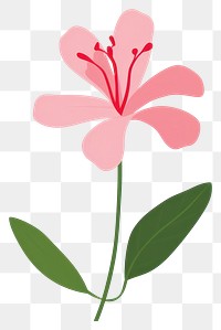 PNG Azalea flower illustration design plant.