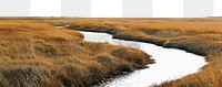 PNG Silence river and yellow grass field landscape nature meandering outdoors.