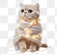 PNG A christmas cat wrapped by christmas decoration light animal lights adorable.