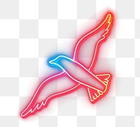 PNG Seagull icon neon lights silhouette.