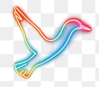 PNG Seagull icon neon lights silhouette.