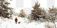 PNG Winter pine forest borders outdoors nature snow.