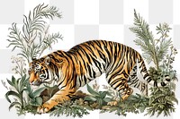 PNG Forest borders tiger illustration wildlife.